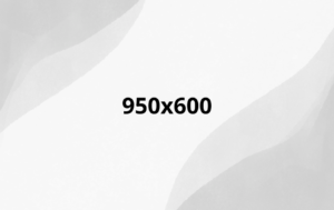 950x600